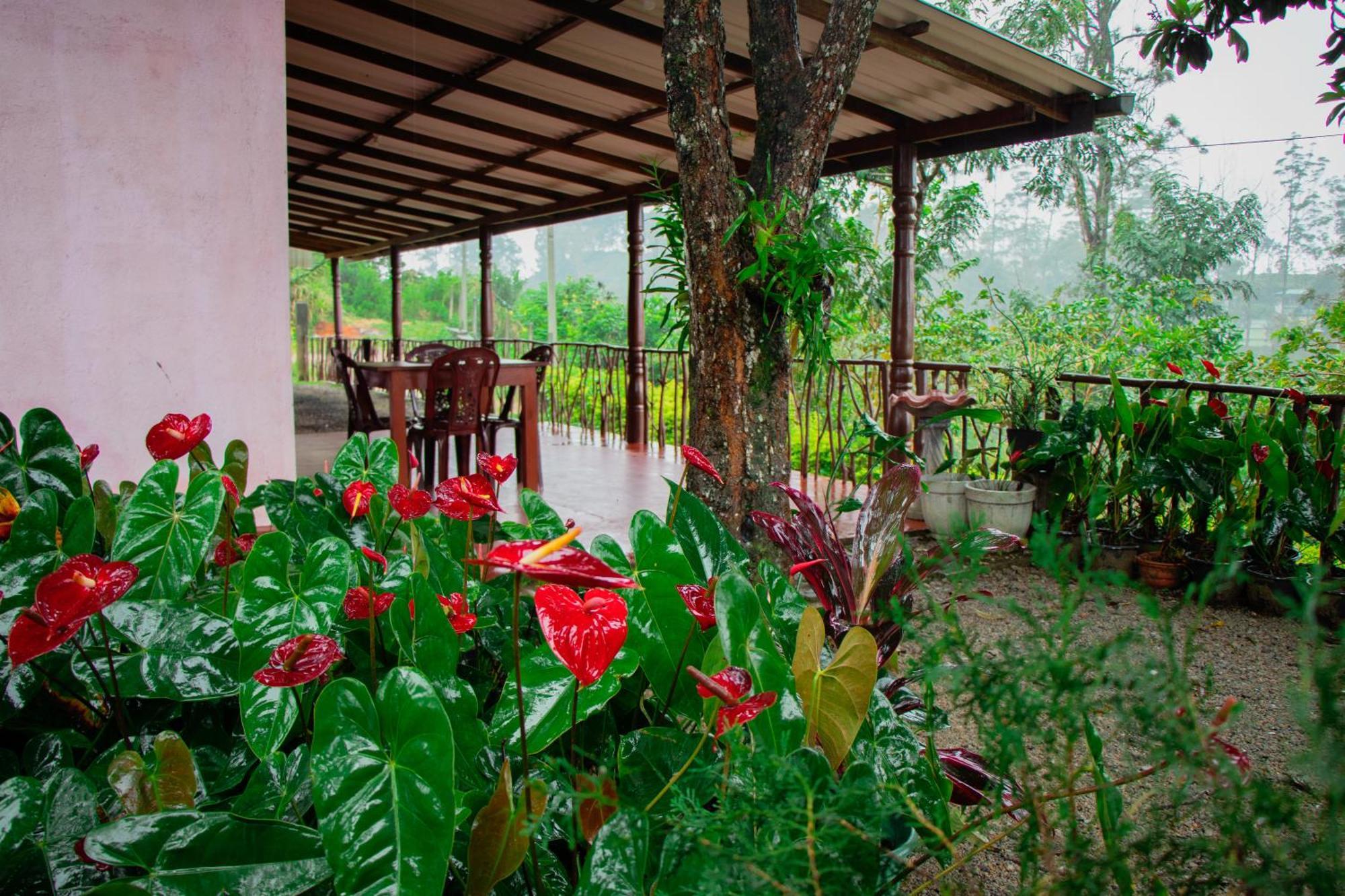 Nine Arch Homestay Ella Luaran gambar