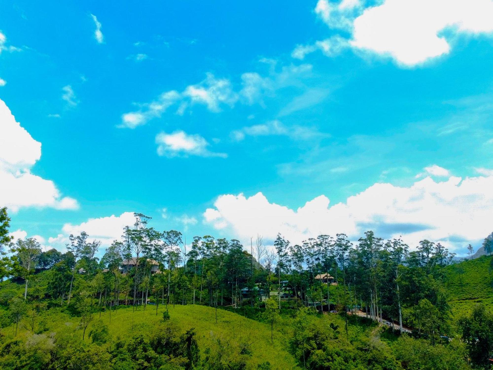 Nine Arch Homestay Ella Luaran gambar